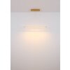 Globo lighting Muriella hanging light LED brass, 1-light source