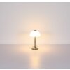 Globo lighting Uldin table lamp LED brass, 1-light source