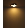 Globo lighting Doha ceiling light LED anthracite, white, 1-light source