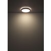 Globo lighting Bruno ceiling light LED brown, black, 1-light source