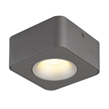 Globo lighting Hangarau ceiling light LED grey, 1-light source