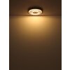 Globo lighting Jayden ceiling light LED anthracite, 1-light source