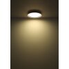 Globo lighting Dublin ceiling light LED grey, 1-light source, Remote control