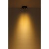 Globo lighting Rae ceiling light LED black, 2-light sources