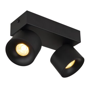 Globo lighting Rae ceiling light LED black, 2-light sources