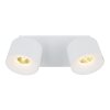 Globo lighting Rae ceiling light LED white, 2-light sources