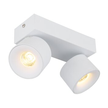 Globo lighting Rae ceiling light LED white, 2-light sources