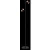 Globo lighting Brisbon floor lamp black, 2-light sources