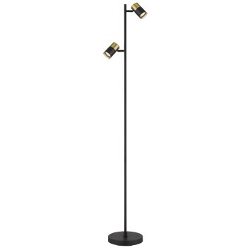 Globo lighting Brisbon floor lamp black, 2-light sources