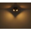 Globo lighting Linca ceiling light, ceiling spotlight, wall light, wall spotlight Ecru, black, 2-light sources