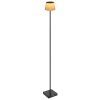 Globo lighting Gregoir floor lamp LED black, 1-light source