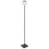 Globo lighting Gregoir floor lamp LED black, 1-light source