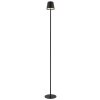 Globo lighting Vannie floor lamp LED black, 1-light source