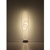 Globo lighting Spira floor lamp LED black, 1-light source