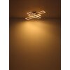 Globo lighting Dakari ceiling light LED black, 1-light source