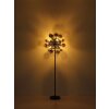 Globo lighting Udo hanging light black, 6-light sources