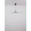 Globo lighting Lampone hanging light LED black, 1-light source