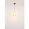 Globo lighting Lampigna hanging light LED brass, black, 1-light source