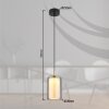 Globo lighting Lampigna hanging light LED brass, black, 1-light source