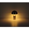 Mushroom Lamp  Globo lighting Atoma table lamp matt nickel, 2-light sources