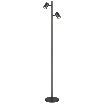 Globo lighting James floor lamp grey, 2-light sources