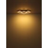 Globo lighting I ceiling light LED grey, black, 1-light source