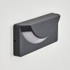 Orvalho outdoor wall light anthracite, 1-light source