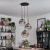 Gastor hanging light, globe light clear, Smoke-coloured, 3-light sources