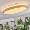 Sofo ceiling light, Panel LED white, 1-light source, Remote control