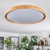 Sofo ceiling light, Panel LED white, 1-light source, Remote control