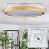 Sofo ceiling light, Panel LED white, 1-light source, Remote control