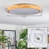 Sofo ceiling light, Panel LED white, 1-light source, Remote control