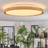 Sofo ceiling light, Panel LED white, 1-light source, Remote control