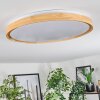 Sofo ceiling light, Panel LED white, 1-light source, Remote control