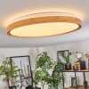 Sofo ceiling light, Panel LED white, 1-light source, Remote control