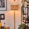 Granja floor lamp Ecru, black, 1-light source