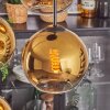 Koyoto hanging light, globe light gold, clear, 4-light sources