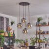 Koyoto hanging light, globe light clear, Smoke-coloured, 4-light sources