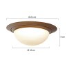 Steinhauer lights Ikaro ceiling light LED bronze, 1-light source