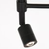 Steinhauer lights Stang floor lamp LED black, 2-light sources