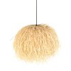 Steinhauer lights Grass pendant light black, 1-light source