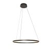 Steinhauer lights Ringlux pendant light LED black, 2-light sources