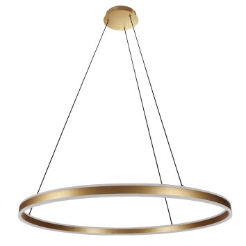 Steinhauer lights Ringlux pendant light LED gold, 2-light sources