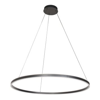 Steinhauer lights Ringlux pendant light LED black, 2-light sources