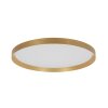 Steinhauer lights Flady ceiling light LED gold, 2-light sources