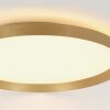 Steinhauer lights Flady ceiling light LED gold, 2-light sources