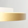 Steinhauer lights Flady ceiling light LED gold, 2-light sources