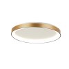 Steinhauer lights Ringlede ceiling light LED gold, 1-light source