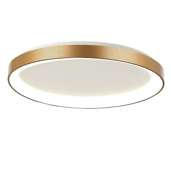 Steinhauer lights Ringlede ceiling light LED gold, 1-light source