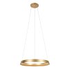 Steinhauer lights Ringlux pendant light LED gold, 1-light source